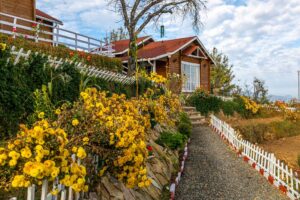 Luxury 3 BHK Villa With Hill View - VODUK39-Nainital-banner