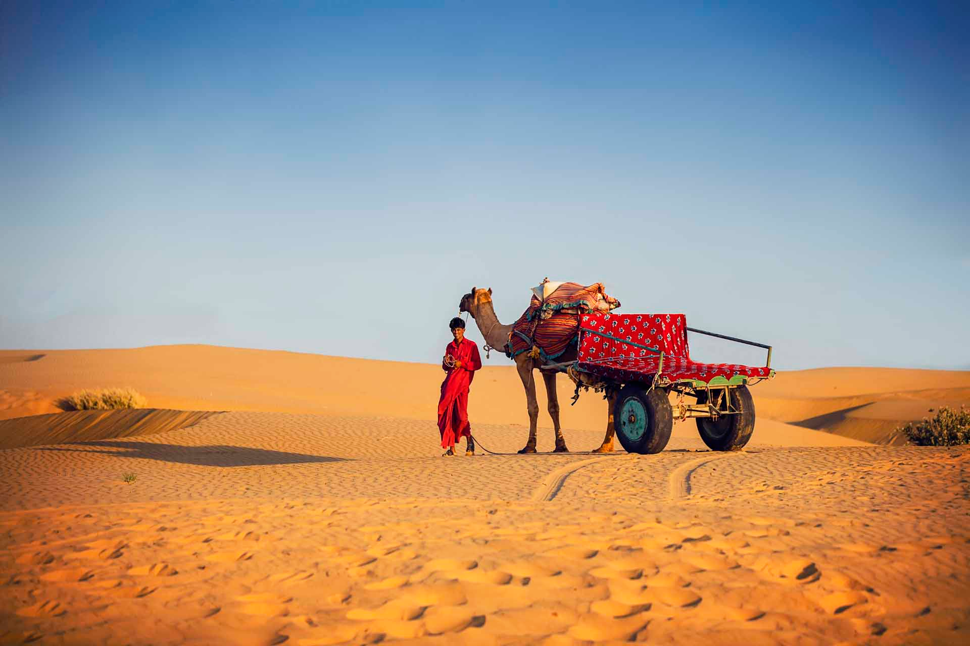 rajasthan