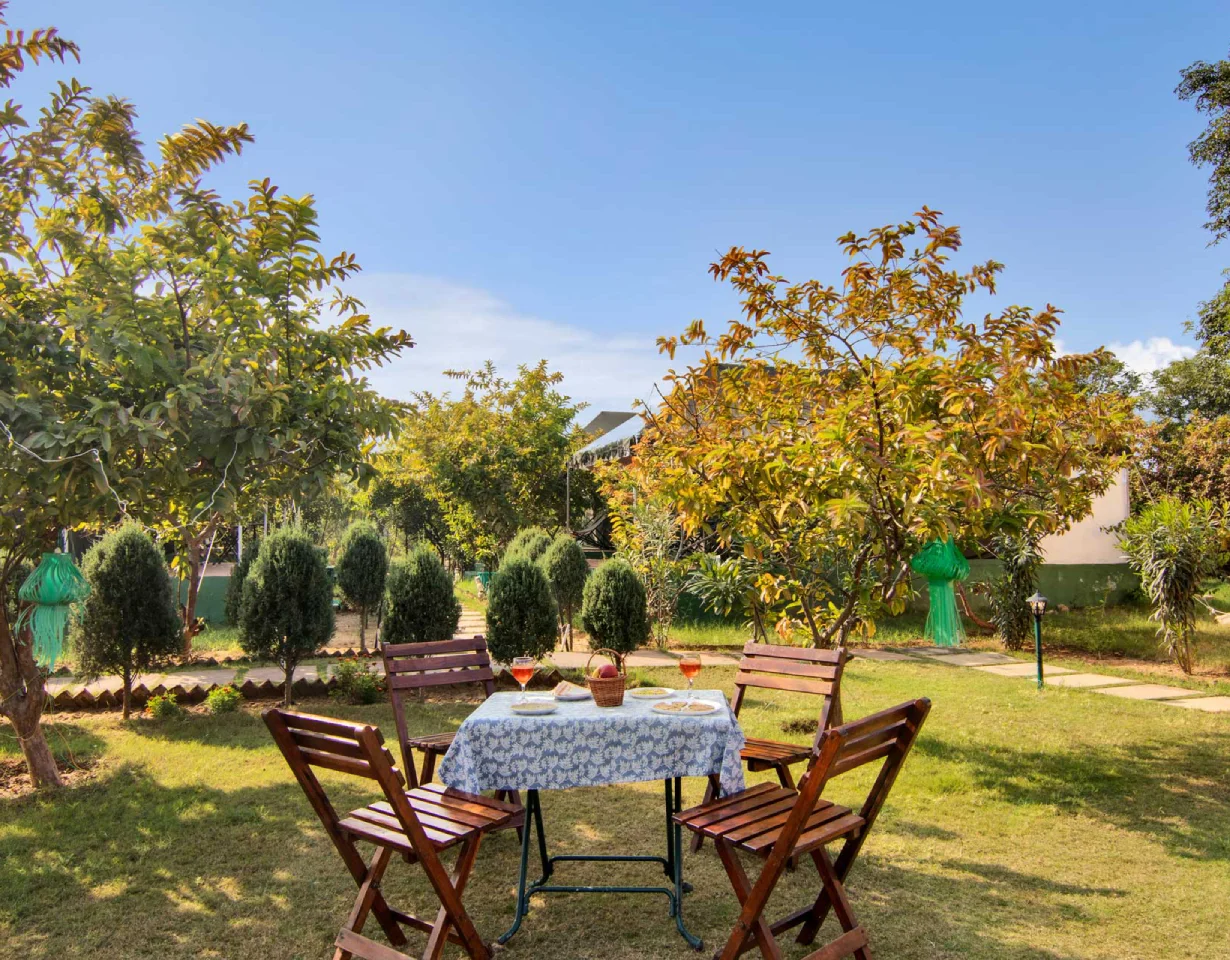 VODRJ225-Ranthambore-2