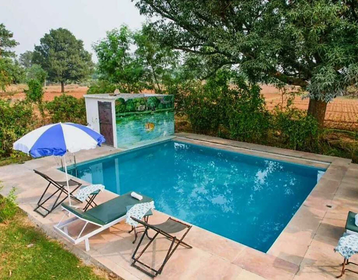 VODRJ225-Ranthambore-4