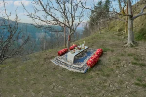 7 Bedroom Pet Friendly Villa In Shimla - VODHP25-Shimla-banner